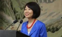 蒋小燕最新爆料新闻报道,揭秘事件背后惊人真相