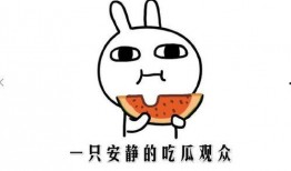 黑料吃瓜免费进入,免费进入的神秘世界